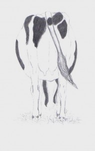 Picture of Cow, by sister of Ryan Dennis