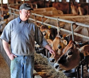 Reducing non-productive days on a dairy farm