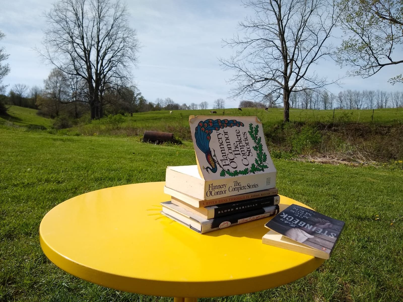 Best Rural Novels: A List of 10 to Get Started