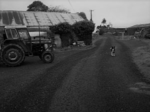 Martin Keaveney tells of rural life in Ireland