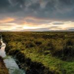 Where bog butter comes from