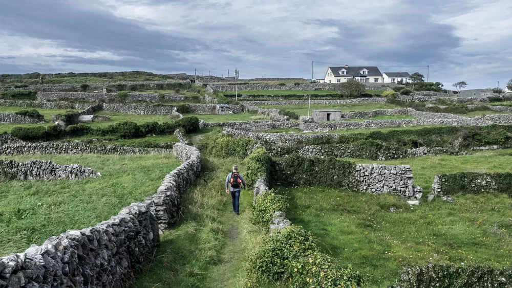 Aran Island grows potatoes