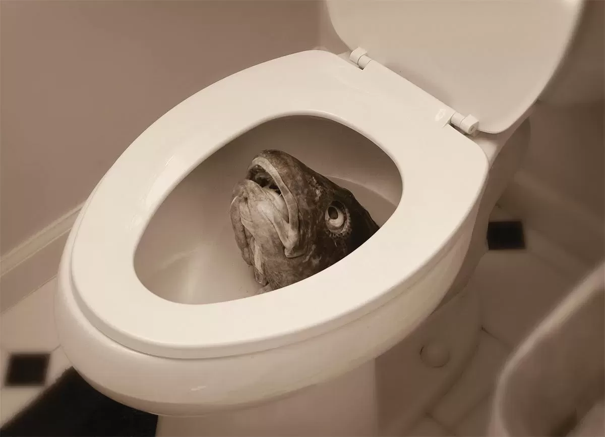 Jim Trelease's best joke: this fish in the toilet