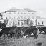 Taylor's Field, used to be Clonbrock House