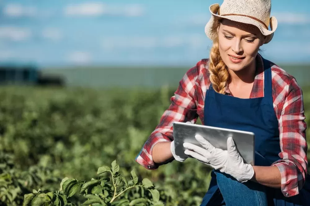 social media and farming