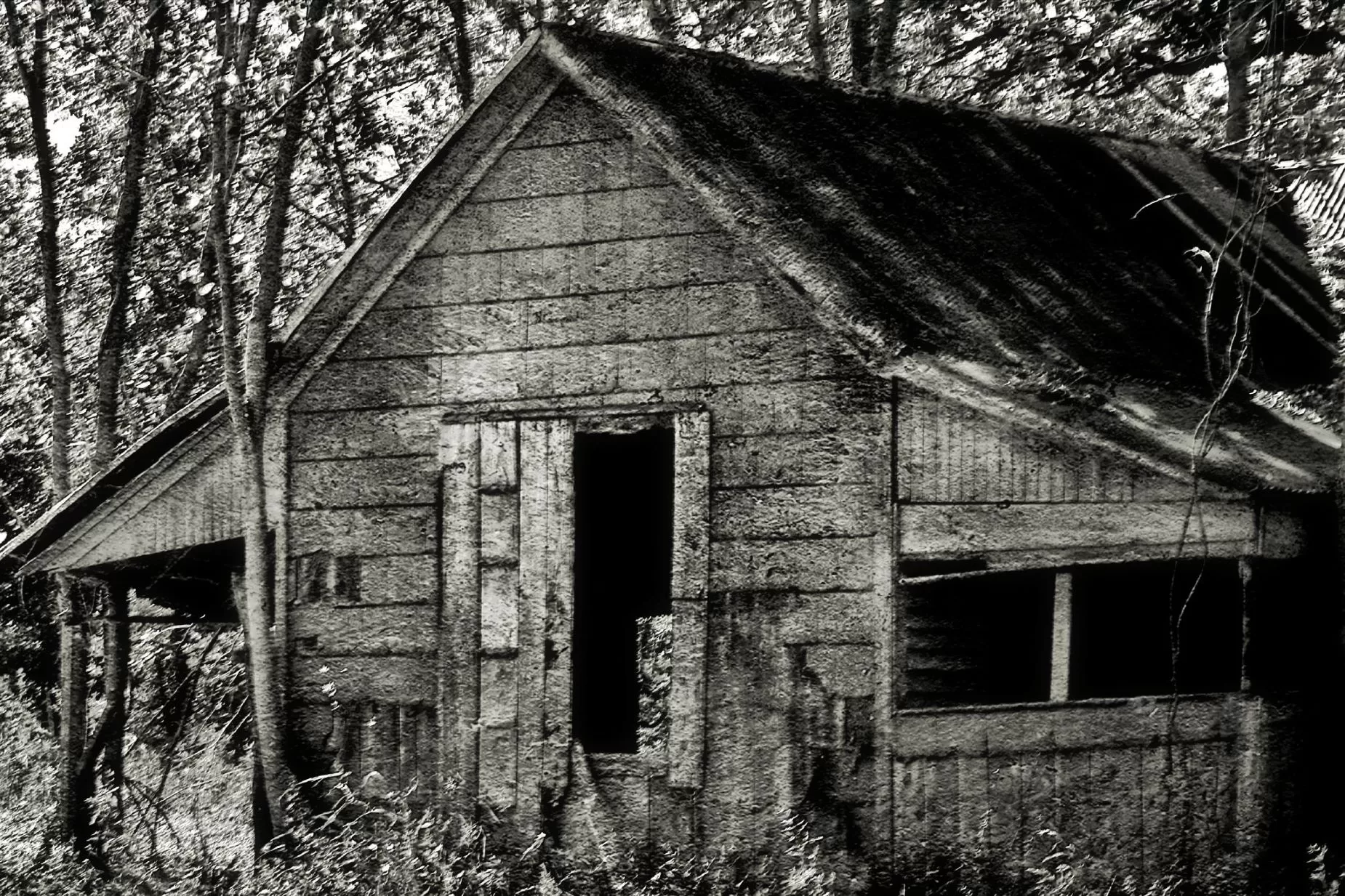 House in the Woods