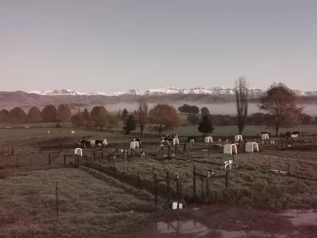 South African Farm