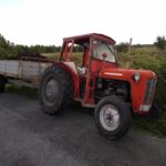 tractor with turf
