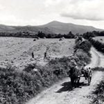 Irish countryside