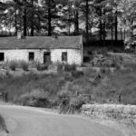 Irish Cottage