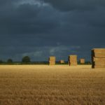 Square Bales