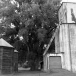 Grain silo from rural past