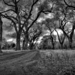 The empty road by Mark scheel