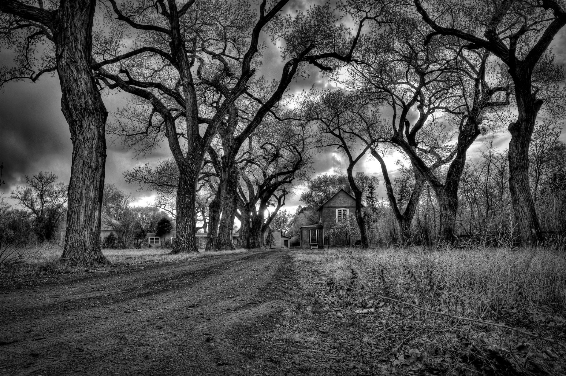 The empty road by Mark scheel