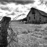 Dead Farms by Sydney Lea