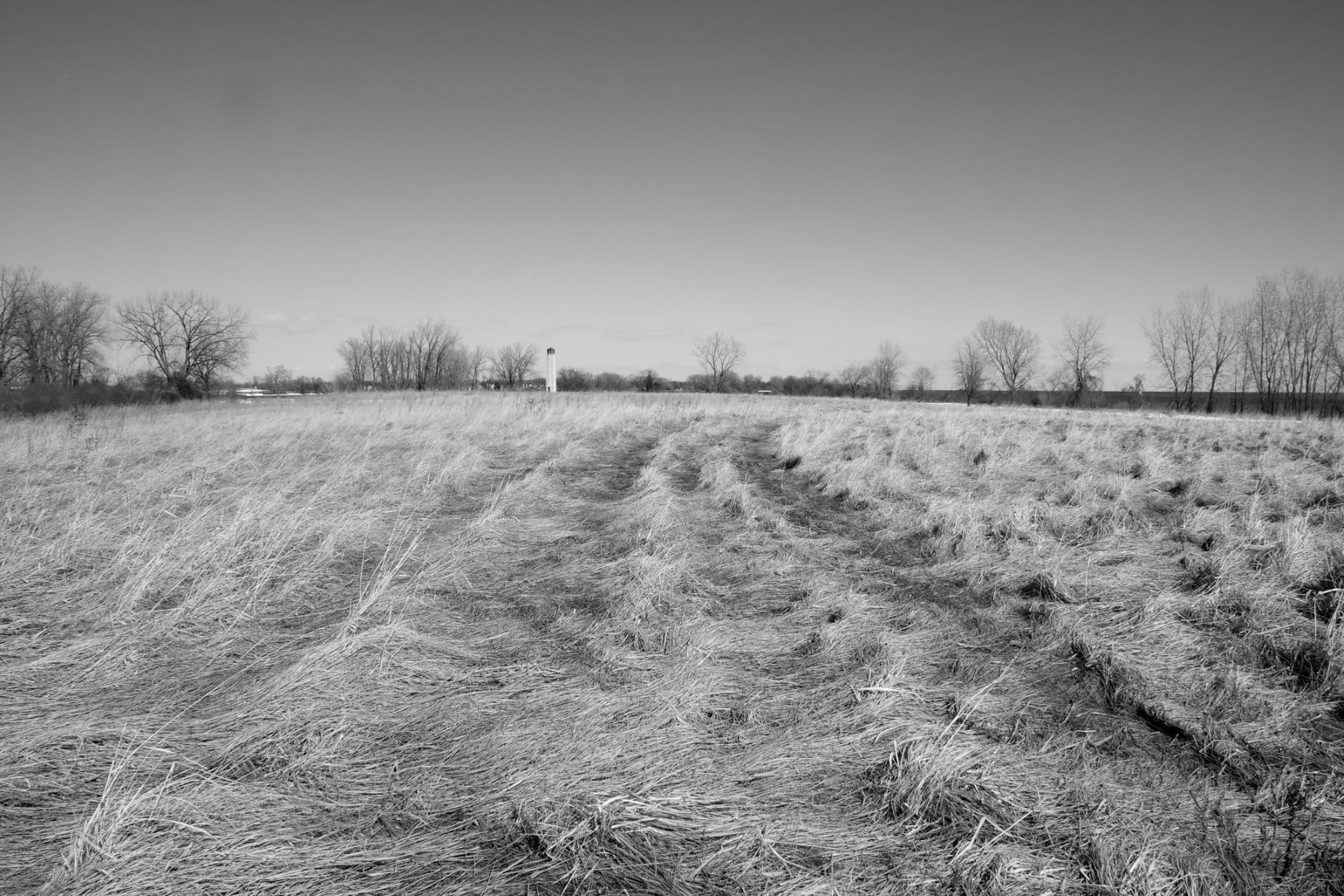 Three Poems by Cathy Conlon The Milk House