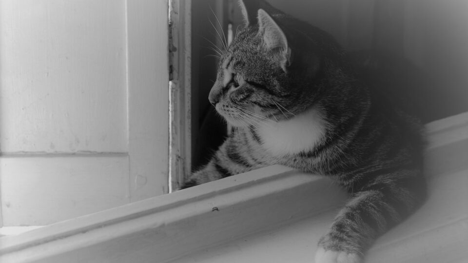 Three Poems By Margaret Galvin The Milk House the-first-ritual-established-in-islam-the-wudu-ablution-60-off