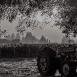 An old tractor