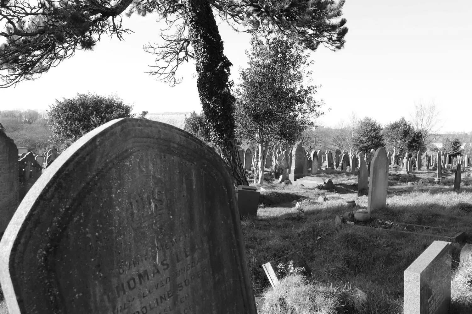 Graveyard black and white