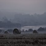 Hay Bales Black and White