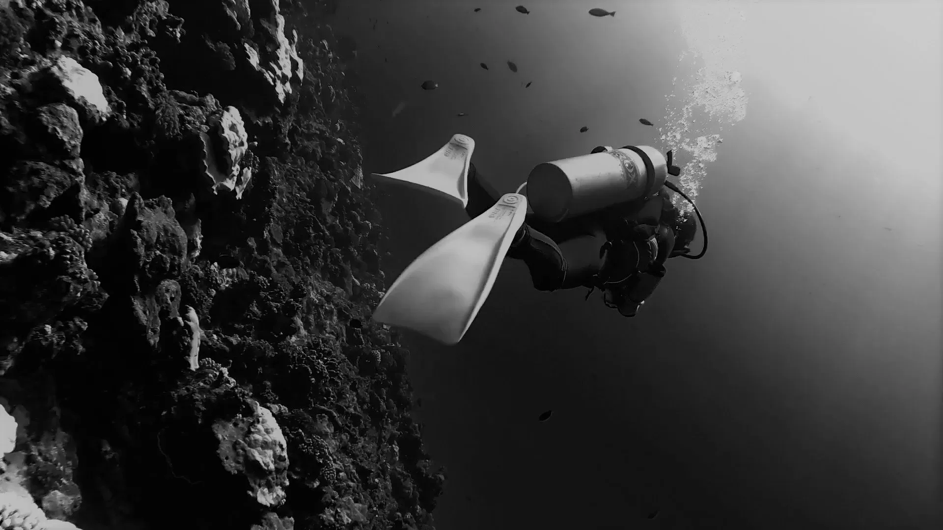 Scuba diver black and white
