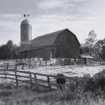 Amish barn