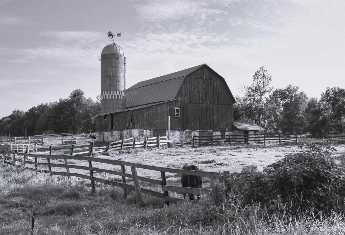 Amish barn