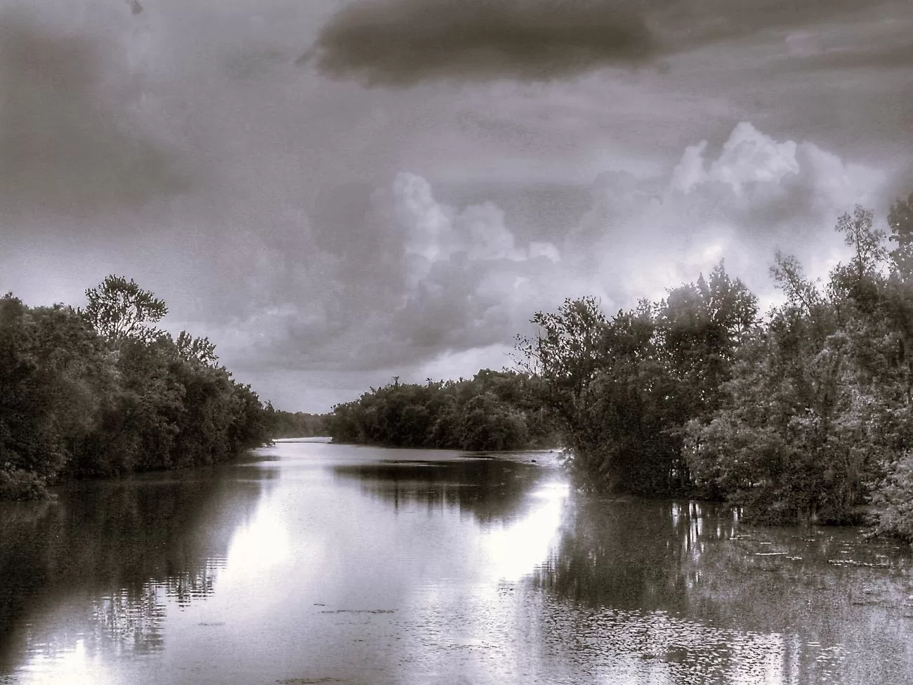 Bayou