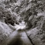 The lane in Nora Brennan's poems