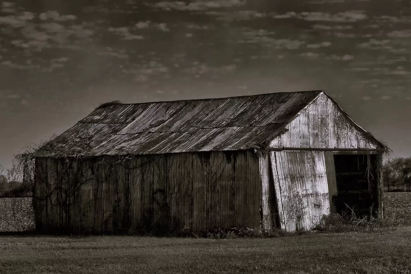 old shed by Bob Brussack