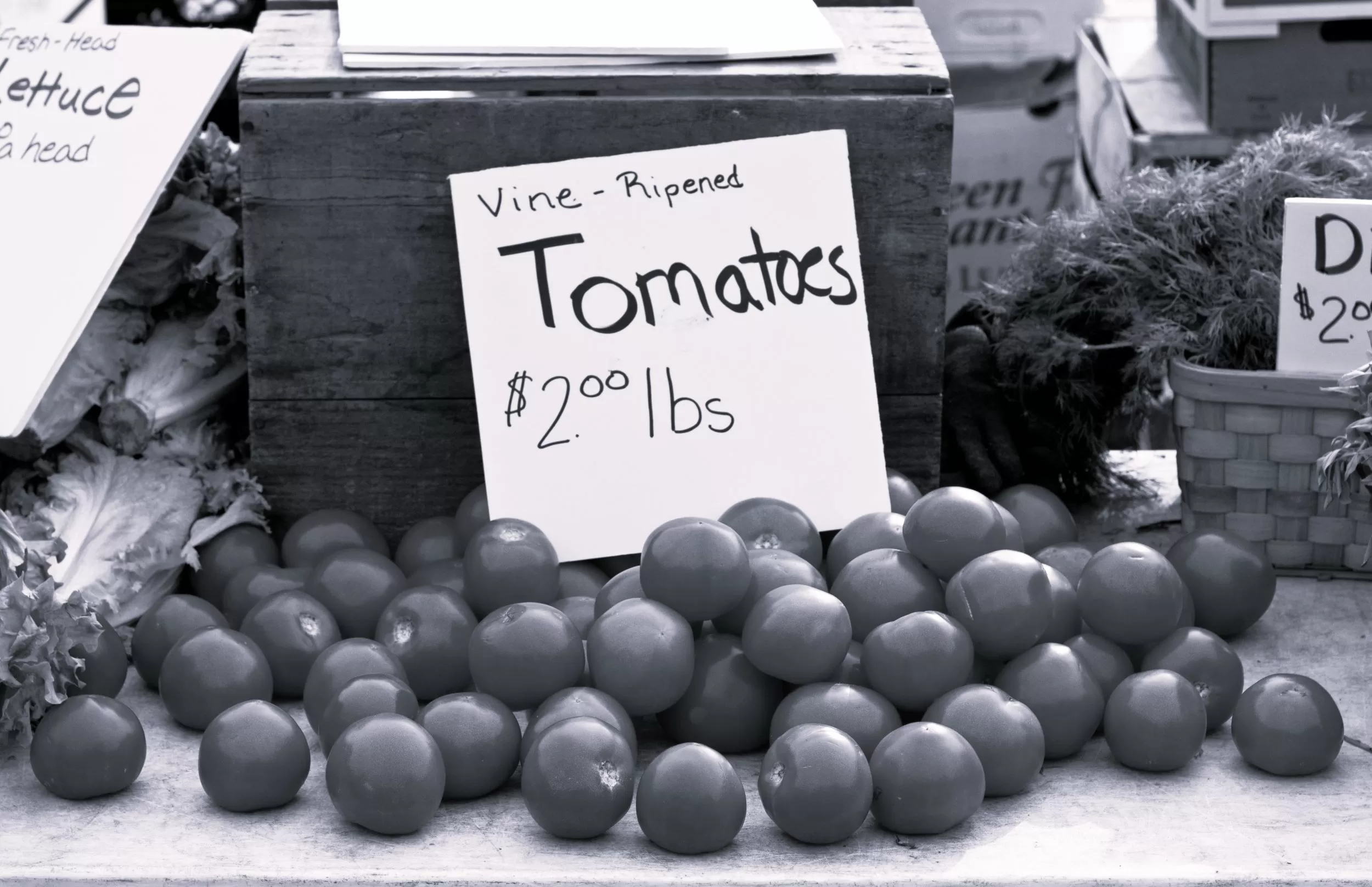 The Honor Gardens by Linda K. Allison The Milk House
