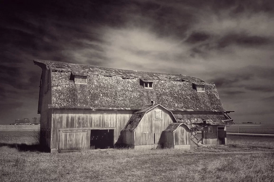 What We've Lost by Bill Smoot
