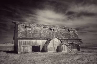 What We've Lost by Bill Smoot