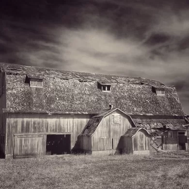 What We've Lost by Bill Smoot