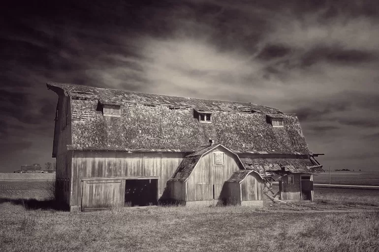 What We've Lost by Bill Smoot