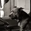 Side of the Road