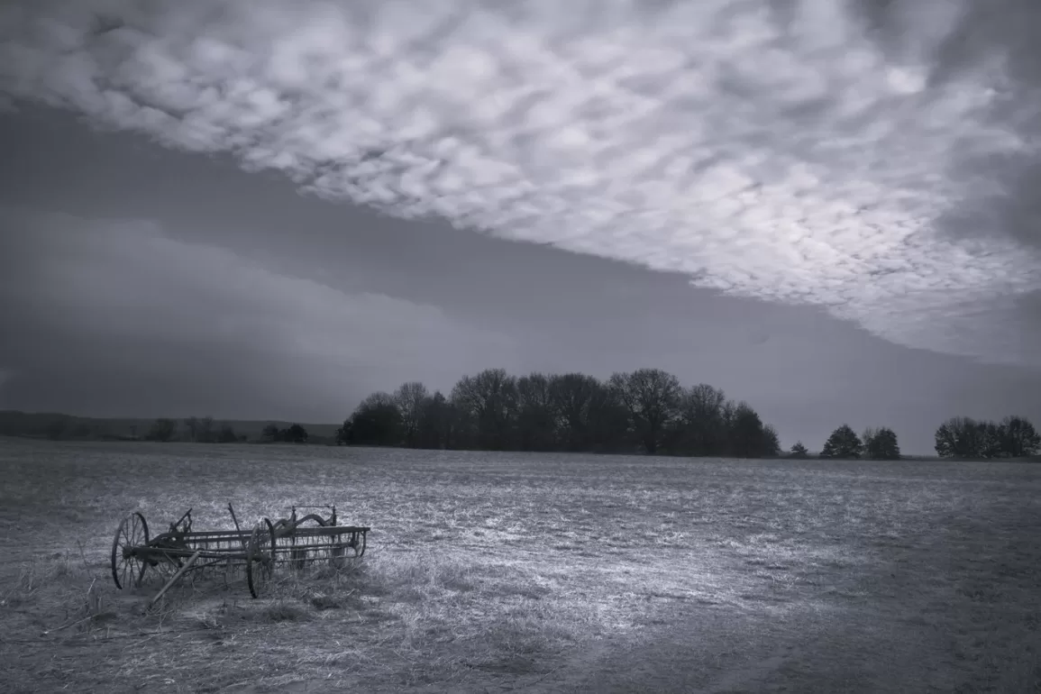 Haying Seasons by Bill Conlogue