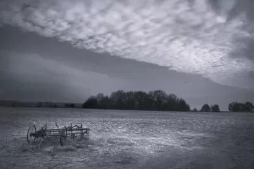 Haying Seasons by Bill Conlogue