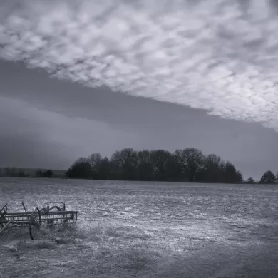Haying Seasons by Bill Conlogue