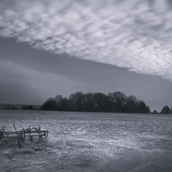 Haying Seasons by Bill Conlogue