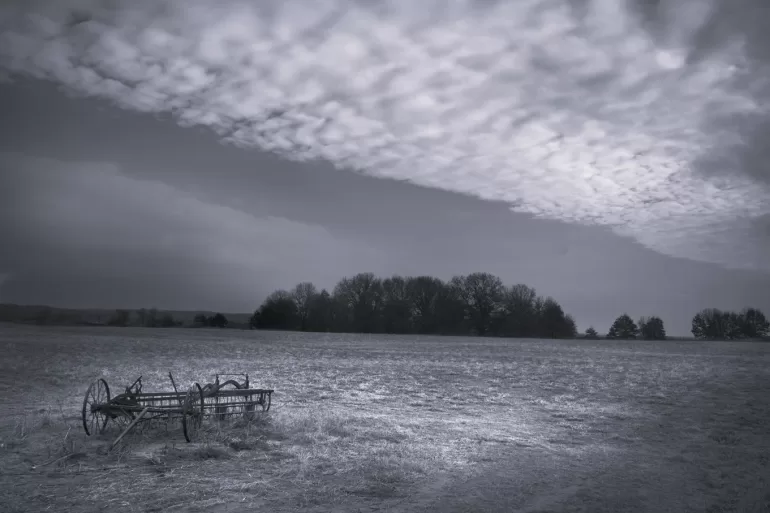 Haying Seasons by Bill Conlogue