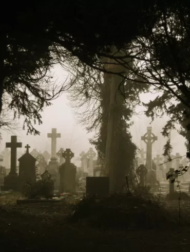 The Escapee's Lover by Dennis McFadden