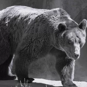 Bug by John Whittier Treat