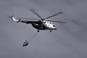 The Boy Who Loved too Much by William Cass