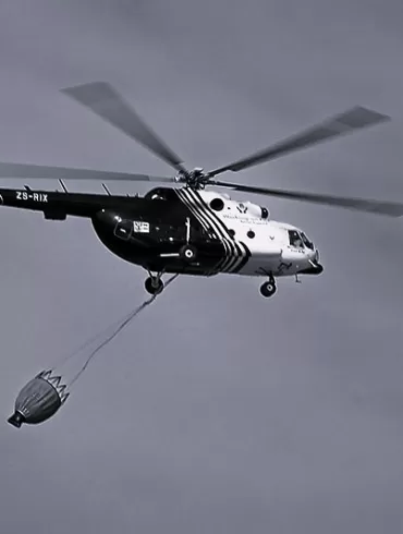 The Boy Who Loved too Much by William Cass