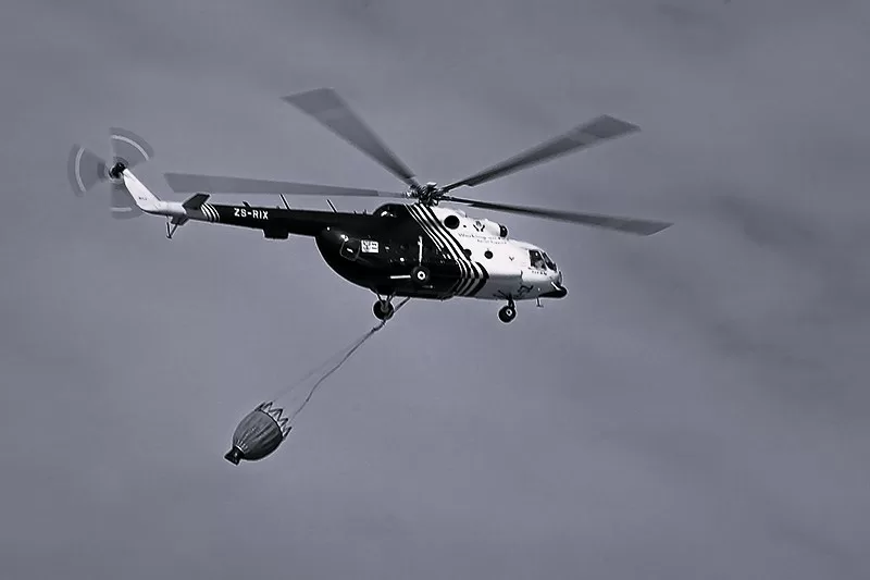 The Boy Who Loved too Much by William Cass